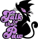 black cat