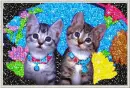 Two