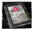 Book dream