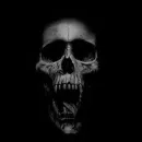 ghost skull