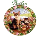 Parihan Kittens