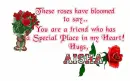 Roses for you friend-Aisha