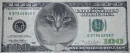 dolar bill