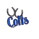 NFL Colts