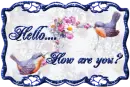 Hello
