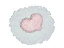 Ice Heart