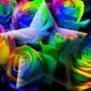 Rainbow Star
