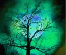 color change moon