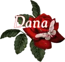 Butterfly Red Rose - Dana