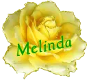 Yellow Rose - Melinda