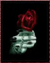 Red Rose