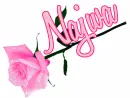 najwa