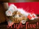 High-five