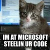 lol cat/computer