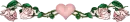 Love Divider