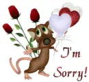 Im sorry