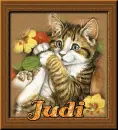 Judi