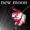Twilight new moon eclipse breaking dawn