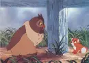 fox and the hound
