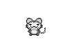 Kitty