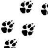 Dog Prints