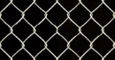 fence