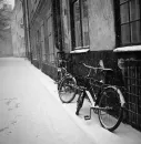 With a Bike on the Side