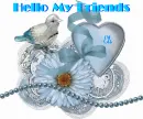 hello my friends