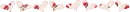 divider