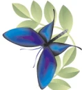 mariposa azul