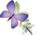 mariposa rosa