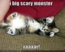 Rawr