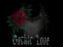 gothic love