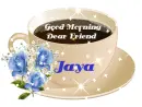 Morning Jaya