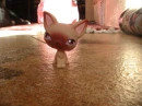 Littlest Pet Shop
