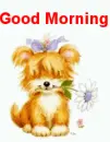 good morning