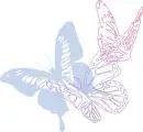 Pastelle Batterfly