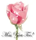 Pink rosse