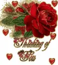 Red roses