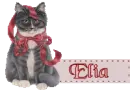 Black cat with bow - Elia