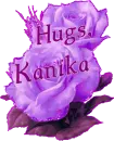 Purple Roses - Hugs - Kanika