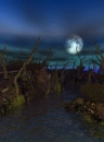 swamp