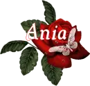Butterfly Red Rose - Ania