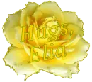 Yellow Rose - Hugs - Elia