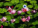 the creepy plants!!!