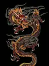 asian fire dragon