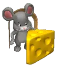 mouse sniffing cheese