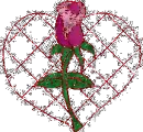 glitter rose