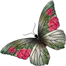 Batterfly
