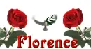 dove -- Florence